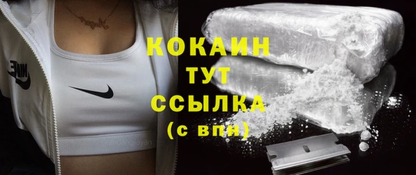 молекула духа Новодвинск