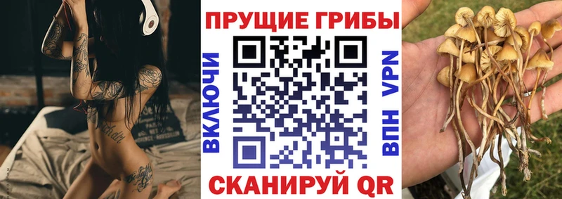 Галлюциногенные грибы Magic Shrooms  Сусуман 